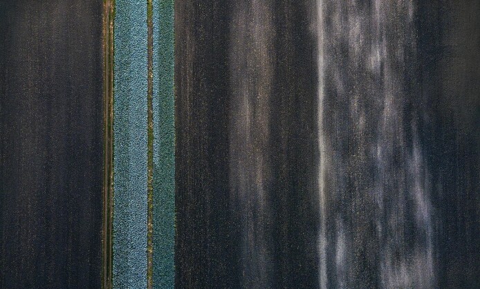 Выставка фотографий Антона Воронина «Грядки: абстракции плодородия» Выставка фотографий Антона Воронина «Грядки: абстракции плодородия»