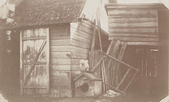 «О ФОТОГРАФИИ. Случайность/сингулярность/приключение» 