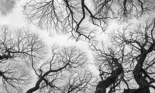 Александр Мец "72"