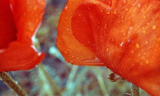 Александр Мец "72"