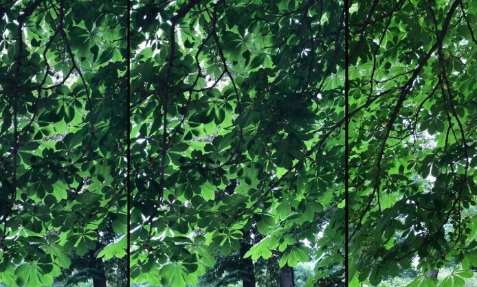 Александра Митлянская, Валерий Орлов, Владимир Мартынов, Захар Коловский