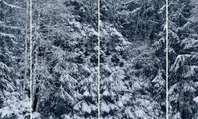 Александра Митлянская, Валерий Орлов, Владимир Мартынов, Захар Коловский