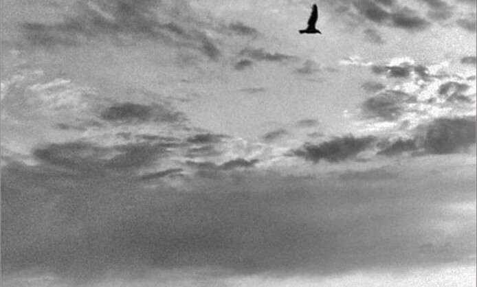 «НАЕДИНЕ» ДМИТРИЯ ФИСЕНКО В КРАСНОДАРЕ  «НАЕДИНЕ» ДМИТРИЯ ФИСЕНКО В КРАСНОДАРЕ