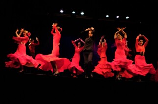 ФЛАМЕНКО. FLAMENCO. Фотовыставка