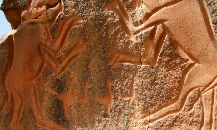 «Петроглифы и наскальная живопись пустыни Сахара» «Петроглифы и наскальная живопись пустыни Сахара»