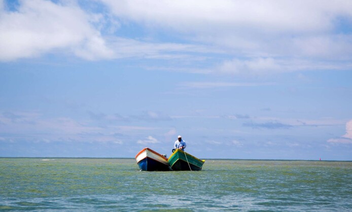 Краски Колумбии в лицах и пейзажах