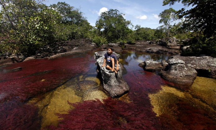 Краски Колумбии в лицах и пейзажах
