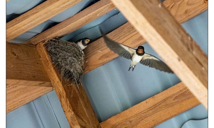 Выставка V фотофестиваля «Экология души» Выставка V фотофестиваля «Экология души»