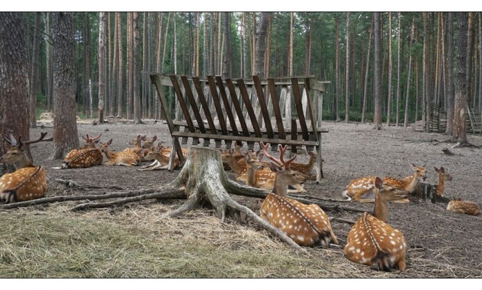 Выставка V фотофестиваля «Экология души» Выставка V фотофестиваля «Экология души»