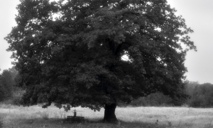 Полина Фунина «Прозрачность обыденности» Полина Фунина «Прозрачность обыденности»