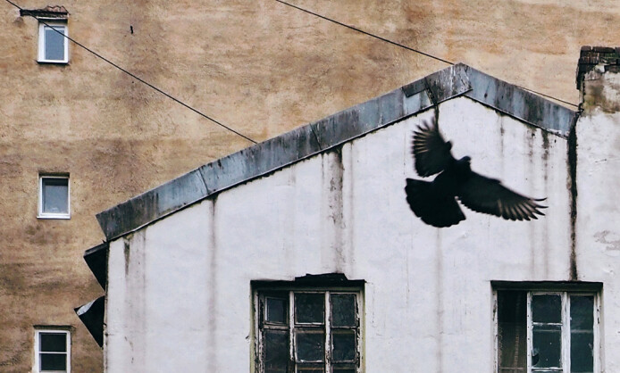 Выставка "Притяжение" 