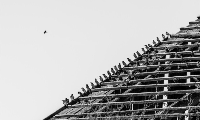 Выставка "Притяжение" 