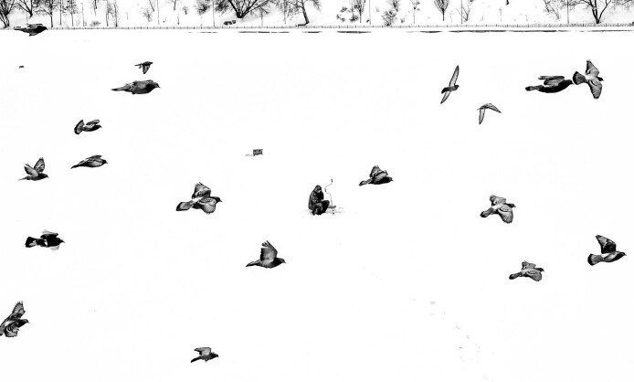 Выставка "Притяжение" 