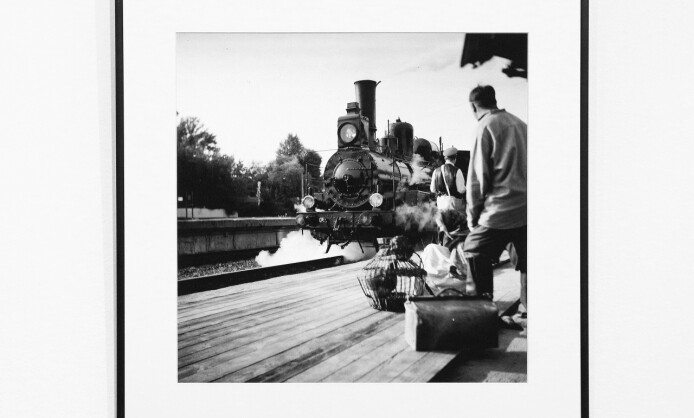 Выставка «Волчок»