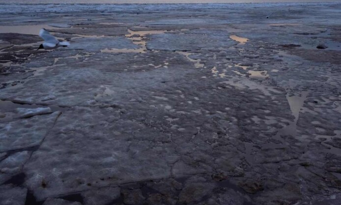 Выставка «От Кавказа до Алтая»