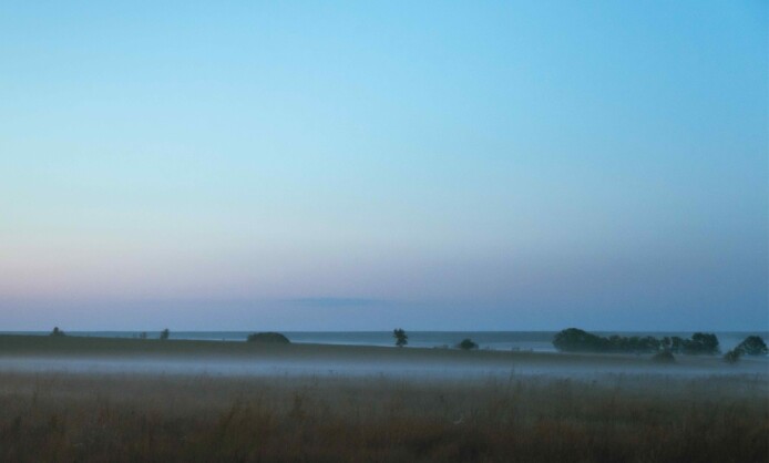 Выставка «От Кавказа до Алтая»