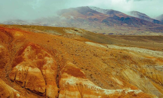 Выставка «От Кавказа до Алтая»