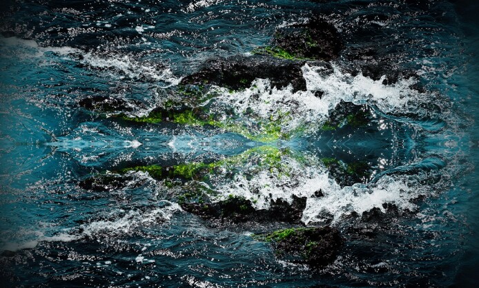 Влад Локтев Рождение