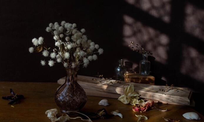 "35 лет Союзу фотохудожников России" в Ставрополе