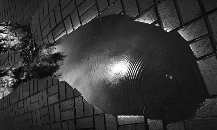 "35 лет Союзу фотохудожников России" в Ставрополе