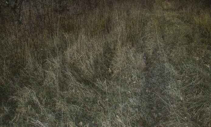 "35 лет Союзу фотохудожников России" в Ставрополе