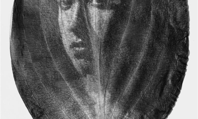 "35 лет Союзу фотохудожников России" в Ставрополе