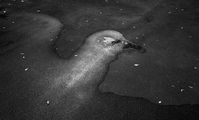 "Текстуры жизни" в Краснодаре