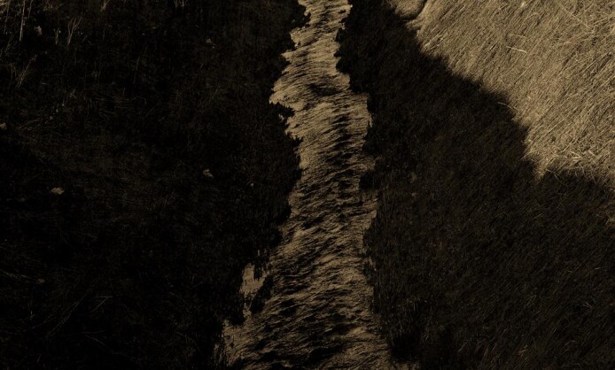 "Текстуры жизни" в Краснодаре