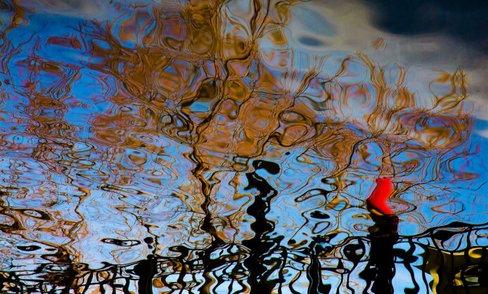 "Текстуры жизни" в Краснодаре