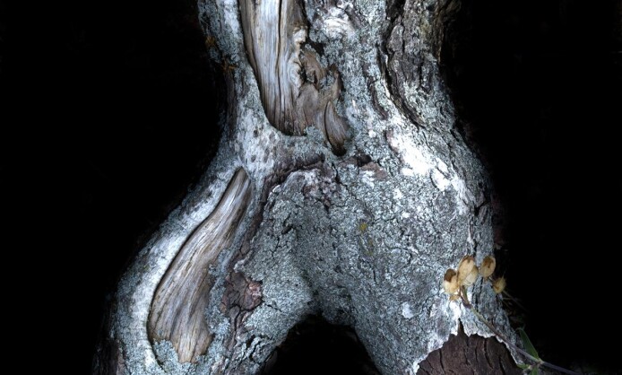 "Текстуры жизни" в Краснодаре