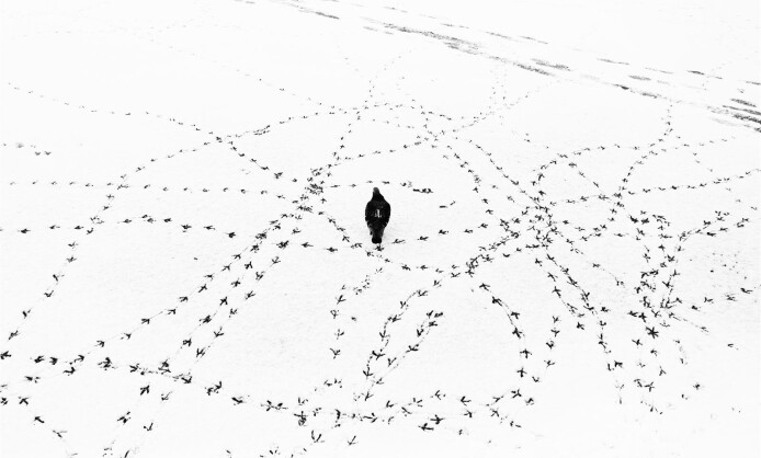 "Текстуры жизни" в Краснодаре