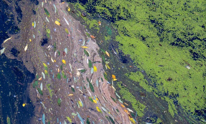 "Текстуры жизни" в Краснодаре