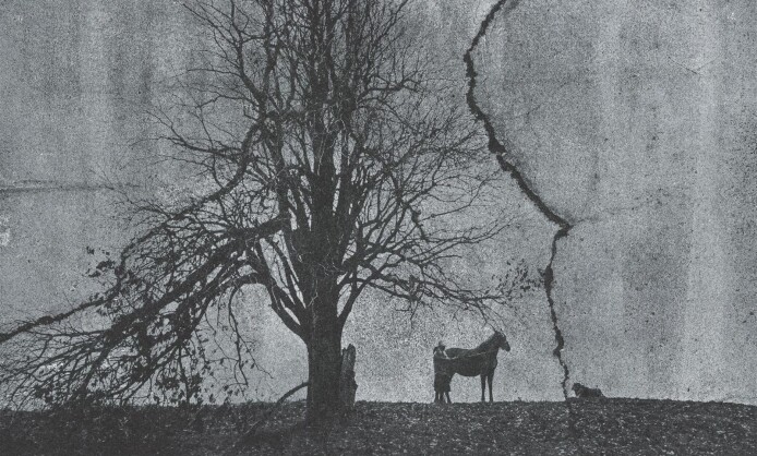 "Текстуры жизни" в Краснодаре