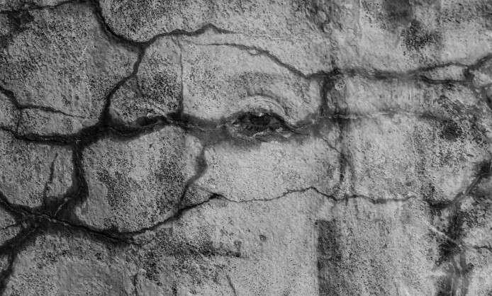 "Текстуры жизни" в Краснодаре