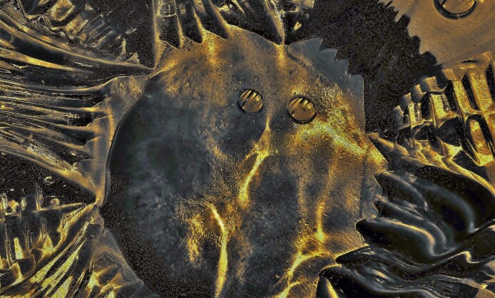 "Текстуры жизни" в Краснодаре