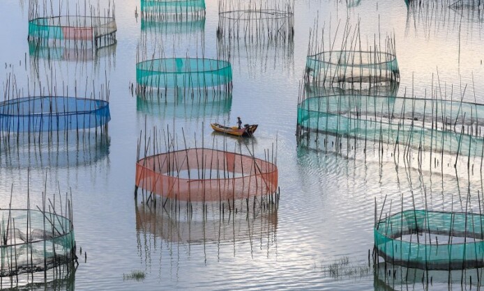 «О Китае, далёком и близком»