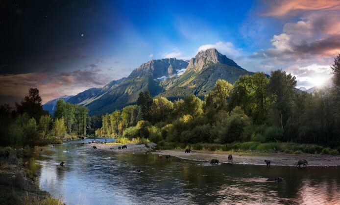 Стивен Уилкс Днем и ночью