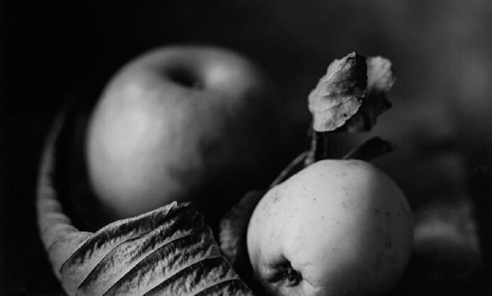 Выставка «SILENTIUM»