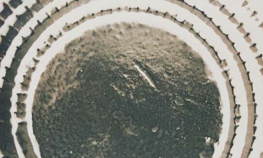 ​Выставка «Жизнь вещей» 