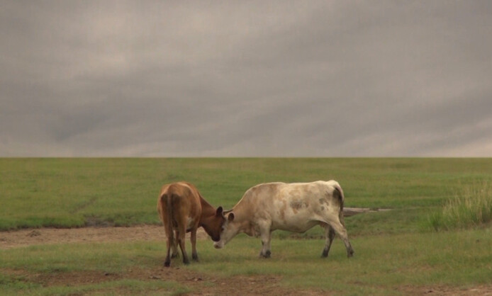 Выставочный проект "СО:творение миров" Выставочный проект "СО:творение миров"