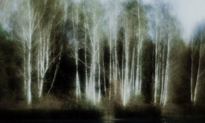 Межрегиональная выставка "Светопись" Межрегиональная выставка "Светопись"