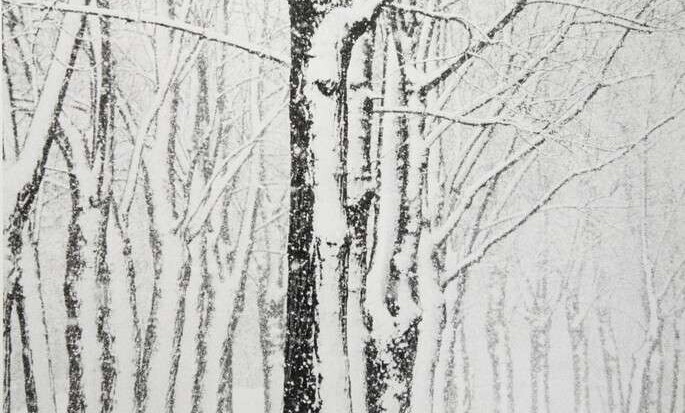 …но зима здесь слишком длинна …но зима здесь слишком длинна