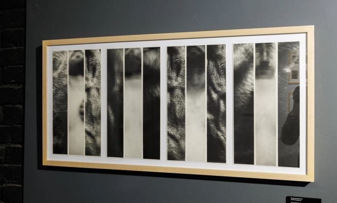 Владимир Куприянов. Архив. Лаборатория. Поиск Владимир Куприянов. Архив. Лаборатория. Поиск