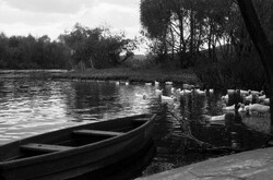 Белгородская галерея фотоискусства им В. А. Собровина