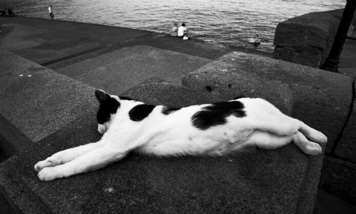 Выставка "Город N" в Краснодаре с 10 по 25 января Выставка "Город N" в Краснодаре с 10 по 25 января