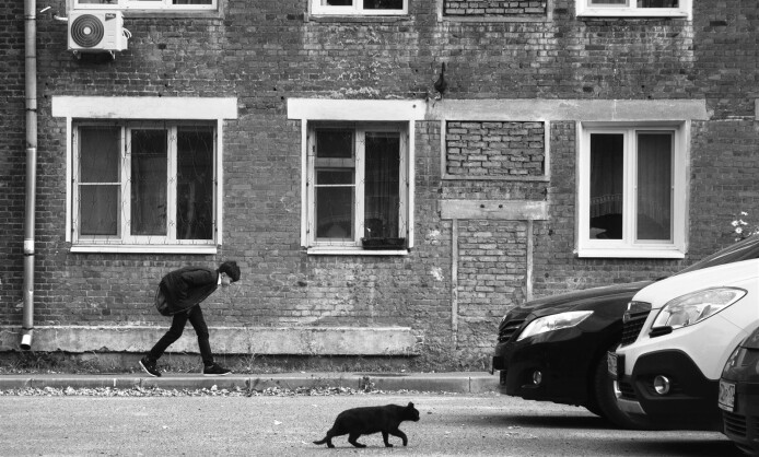 Выставка "Город N" в Краснодаре с 10 по 25 января Выставка "Город N" в Краснодаре с 10 по 25 января