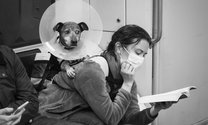 Выставка "Город N" в Краснодаре с 10 по 25 января Выставка "Город N" в Краснодаре с 10 по 25 января