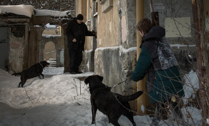 Выставка "Город N" в Краснодаре с 10 по 25 января Выставка "Город N" в Краснодаре с 10 по 25 января