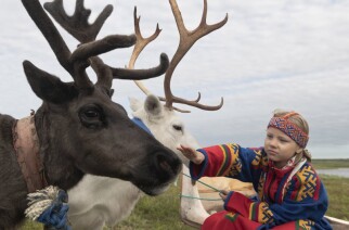 Персональная выставка Светланы Горбатых «Оленные люди»