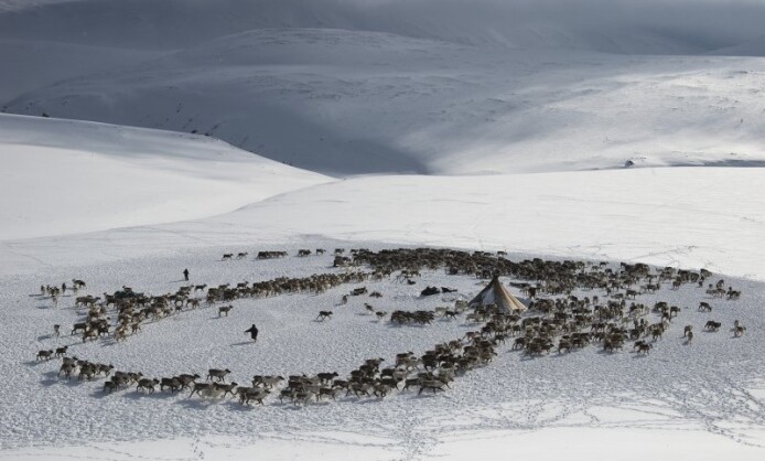Персональная выставка Светланы Горбатых «Оленные люди» Персональная выставка Светланы Горбатых «Оленные люди»